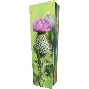 Scottish Thistle - Personalised Picture Coffin with Customised Design.